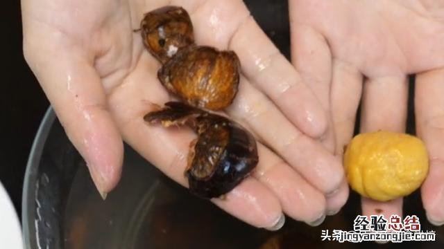 这才是剥栗子最快方法 栗子怎么剥皮最简单