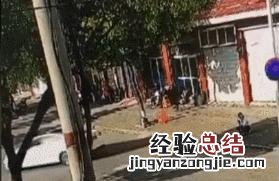 新手开车如何避免交通事故 怎么学开车步骤教程全集