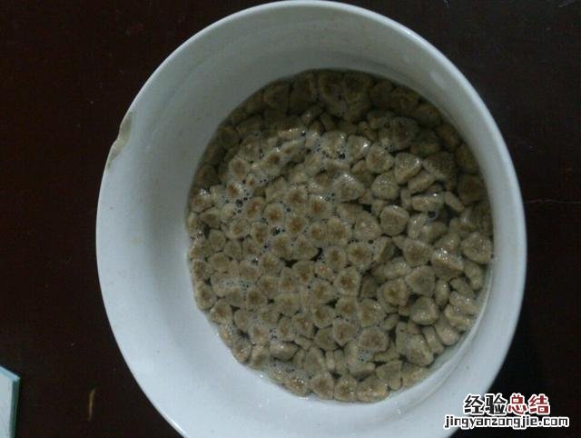 狗粮的正确喂食方法 狗粮怎么喂比较好