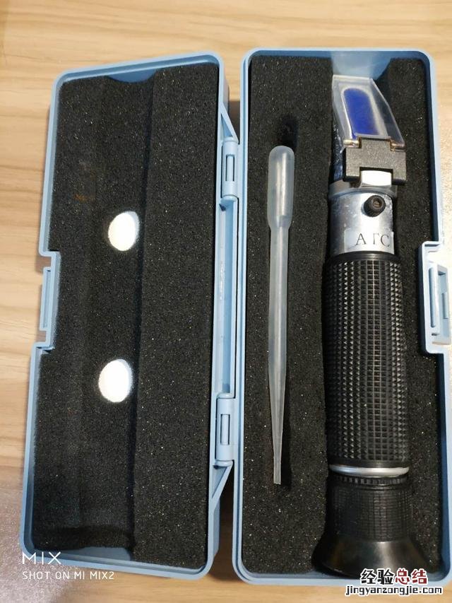 新手最简单养小丑鱼的方法 小丑鱼怎么养咸水怎么弄