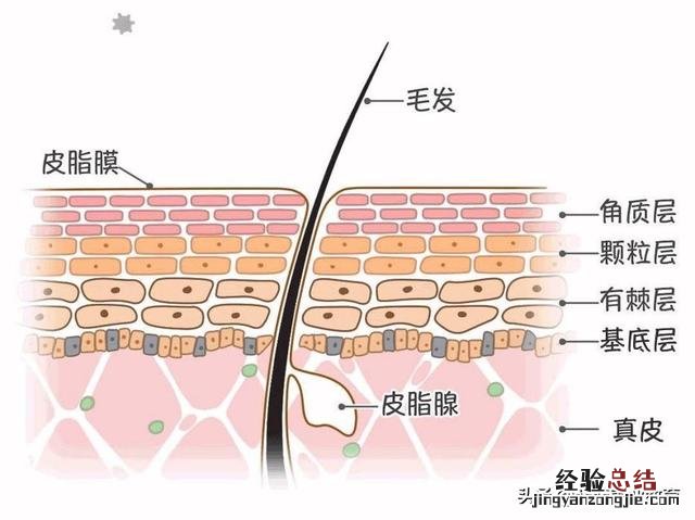 平常注意五个生活习惯 如何才能不长青春痘