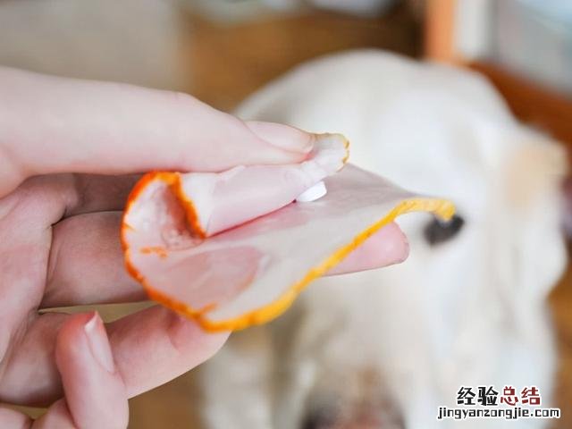 狗狗拉肚子的最快解决办法 小狗一直拉稀怎么办