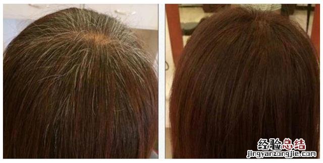家里适合养的花卉推荐 印度海娜花怎么样
