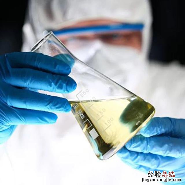 专家只认定5种方法 怎么除甲醛吗