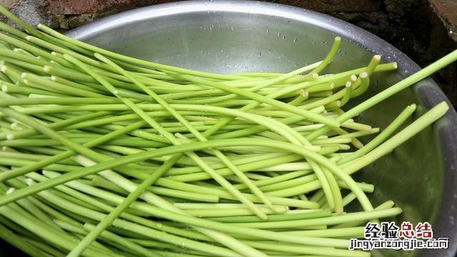 大厨分享妙招鲜嫩爽脆不辣心 蒜苔怎么腌制才好吃家常做法