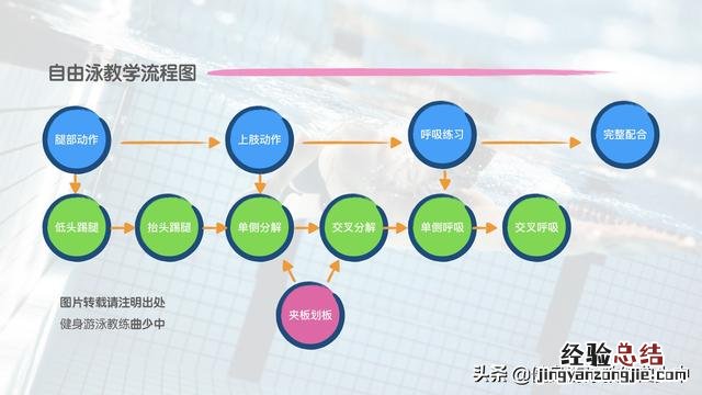 四个分解步骤教会你自由泳 自由泳怎么游得快又轻松