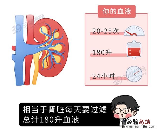 小便次数多是不是和肾功能有关系 小便次数多是怎么回事