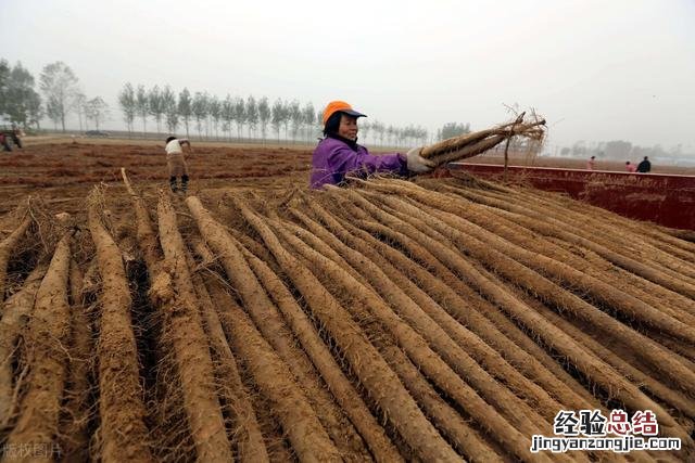 中医推荐这4个 湿气太重怎么排出来最简单的方法