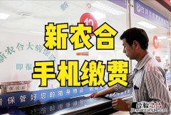 农村新农合网上缴费的方法 新农合医保网上缴费怎么交