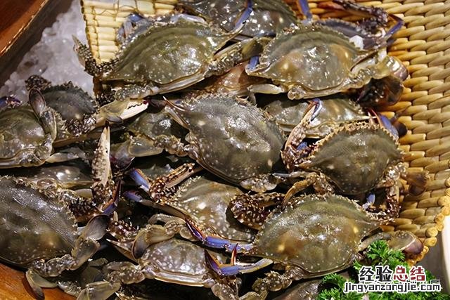 公蟹和母蟹区别大；牢记3买3不买 螃蟹公母怎么分辨图片