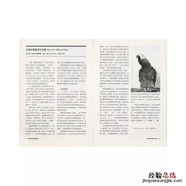 人去世后讣告范文 讣告怎么写发群里