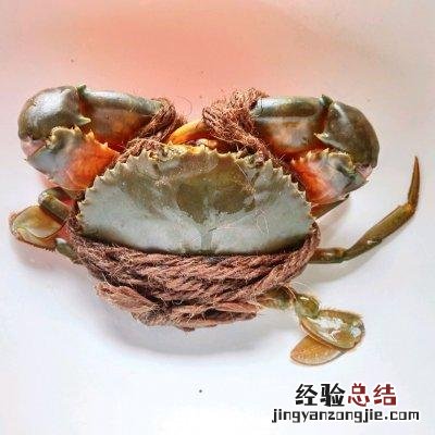 蒜蓉螃蟹蒸粉丝的做法 青蟹怎么做好吃又简单