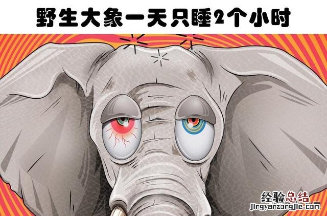 7种动物非常奇怪的睡眠方式 动物是怎么睡觉的姿势