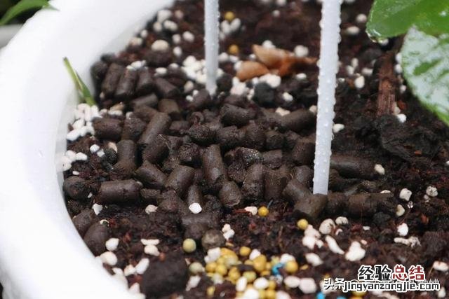 这“四废料”不要扔 怎么样才能快速获得肥料呢