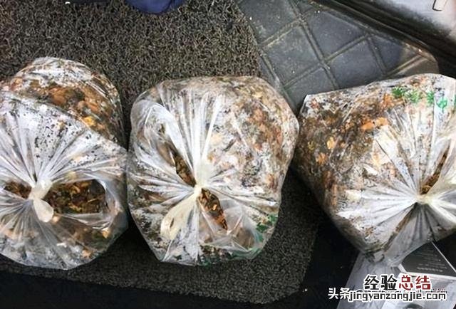 这“四废料”不要扔 怎么样才能快速获得肥料呢