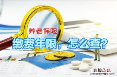 需要哪些材料 怎么查养老保险交了多少年