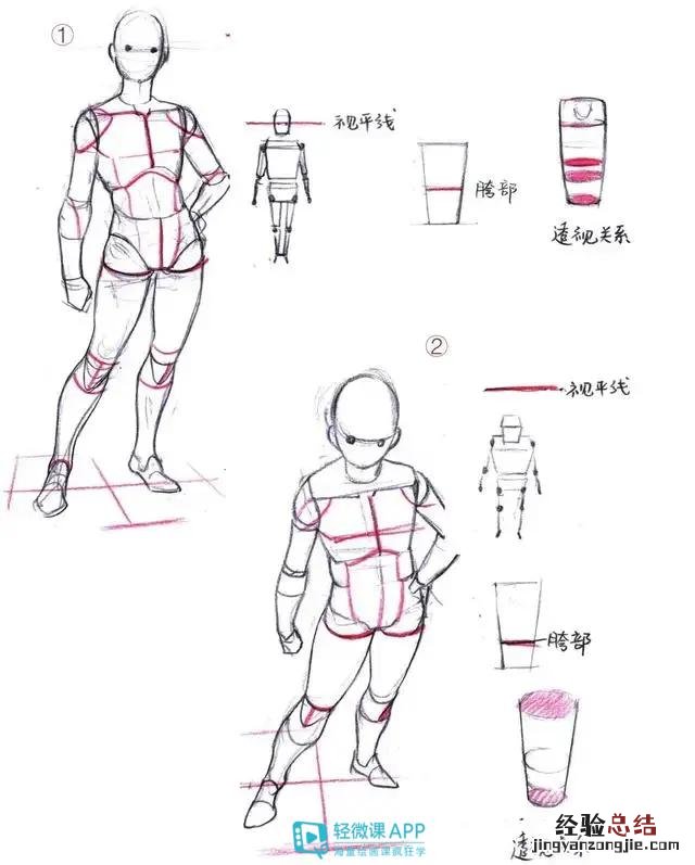 画动漫人物基本画法步骤 怎么画漫画人物教程