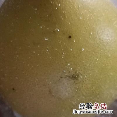 正宗蜂蜜柚子茶的正确做法 蜂蜜柚子茶怎么喝最好