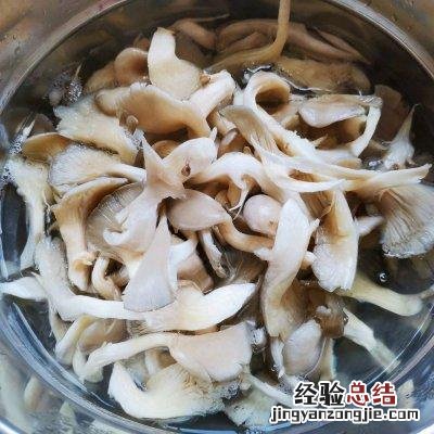 春天很火的孜然炒蘑菇香辣嫩滑 蘑菇怎么炒好吃又简单的做法