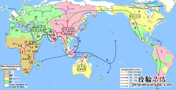 宛如铁甲战车的巨型犰狳 犰狳怎么读什么意思