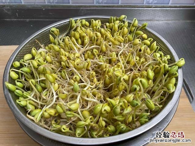自己在家发豆芽的全部过程 黄豆芽怎么发最快又好又粗的技巧