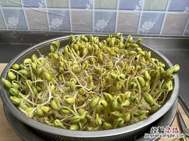 自己在家发豆芽的全部过程 黄豆芽怎么发最快又好又粗的技巧