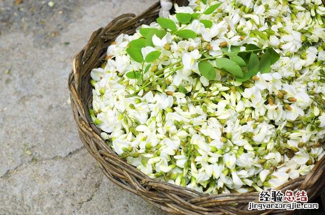 3种“神仙吃法”不要错过 槐树花怎么吃的功效与作用