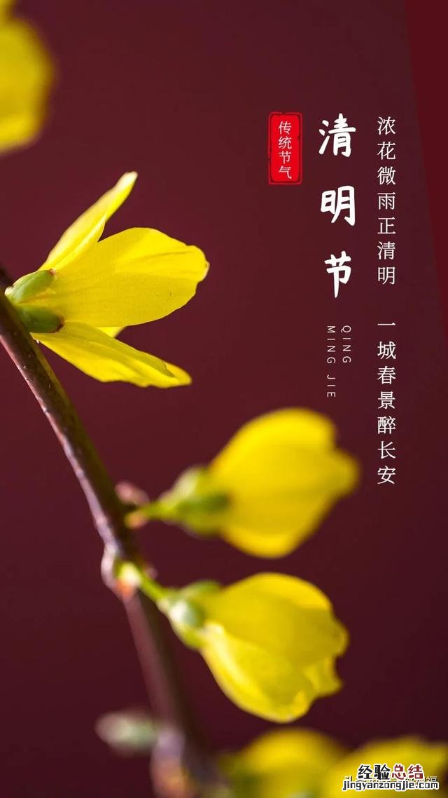 清明节短信问候语录大全 清明节怎么祝福问候