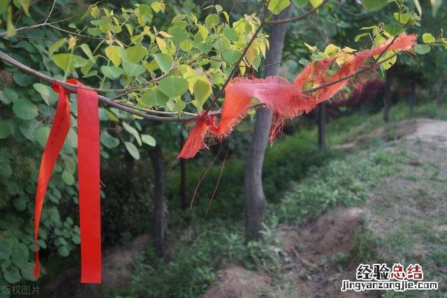 河南农业大学能成为双一流大学吗 河南农业大学怎么样