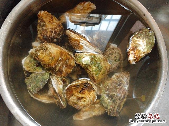 没有生蚝刀开生蚝壳最简单方法 生蚝怎么打开最方便