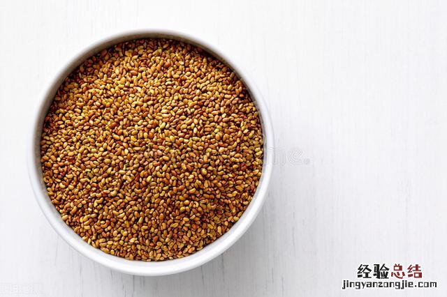 紫花苜蓿草的种植时间和方法 苜蓿草种植技术和方法