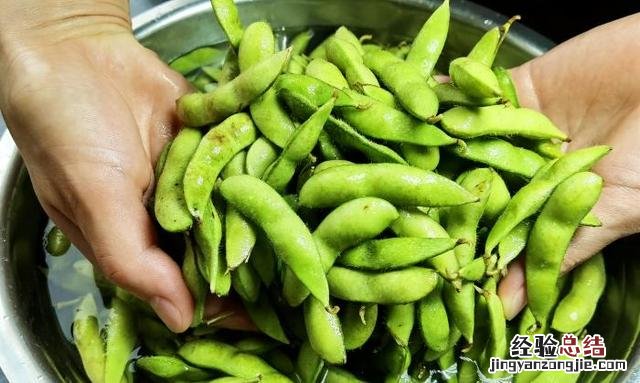 煮毛豆保持翠绿的方法 毛豆怎么煮好吃又简单