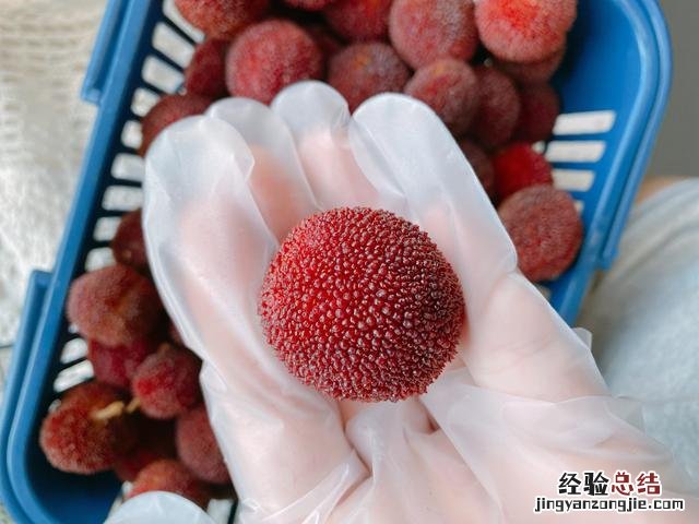 几十年经验的老师傅教你泡杨梅酒 杨梅酒怎么泡制方法