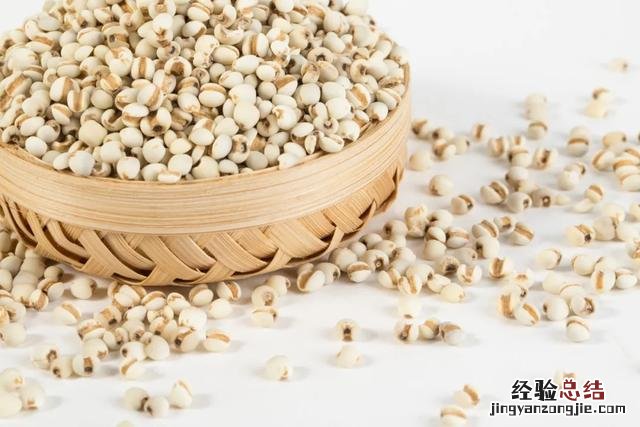 薏苡仁都有什么吃法与功效 薏苡仁怎么吃法