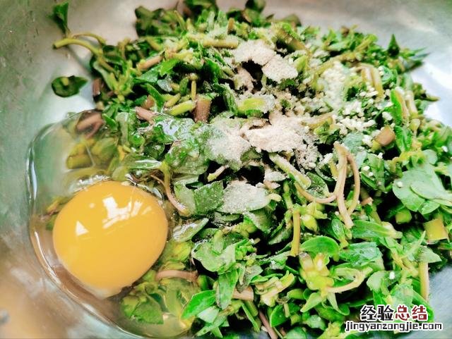 分享3种营养做法 马齿苋的功效与作用吃法