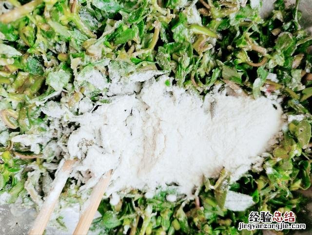 分享3种营养做法 马齿苋的功效与作用吃法