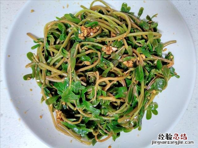 分享3种营养做法 马齿苋的功效与作用吃法