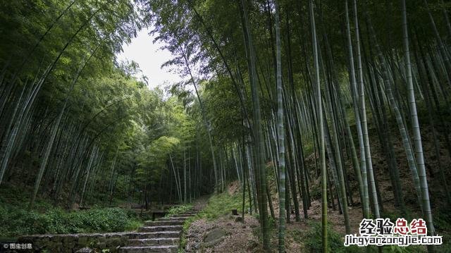 江苏宜兴最值得去的3个景点 宜兴旅游景点推荐景点哪里值得去