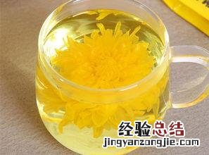 菊花茶的冲泡方法和步骤 菊花茶怎么泡才好喝