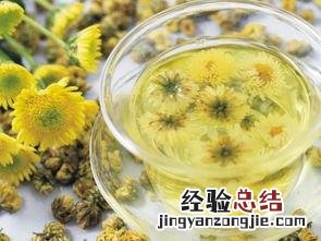 菊花茶的冲泡方法和步骤 菊花茶怎么泡才好喝