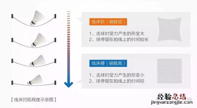 羽毛球拍磅数怎么判断 羽毛球拍磅数高低的区别