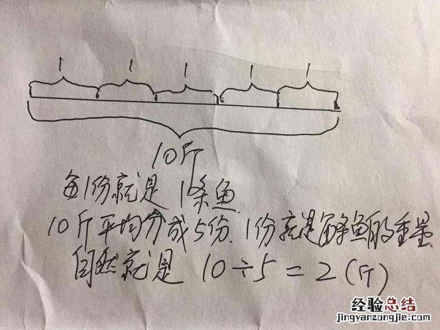 小学数学2个数量的除法应用题 除数和被除数怎么区分