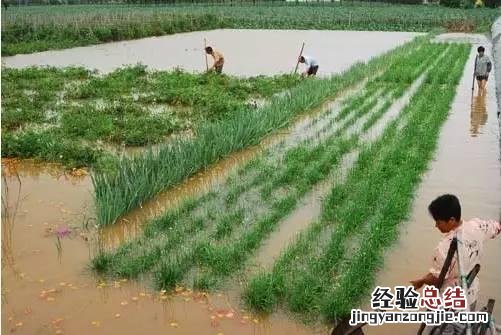 降雨量1毫米是怎么实际量出的 降雨量怎么计算