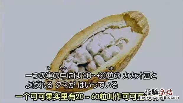 一分钟带你了解巧克力的制作过程 巧克力怎么做的 用料