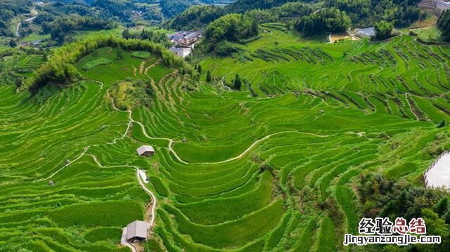 感受诗意的田园生活（内附攻略 云和梯田景区在哪里）