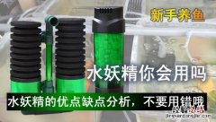 水妖精要怎么使用才能发挥净水作用 水妖精怎么用