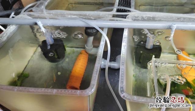 水妖精要怎么使用才能发挥净水作用 水妖精怎么用