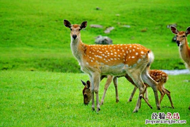 到这10个最佳旅游胜地 7月去哪里旅游合适