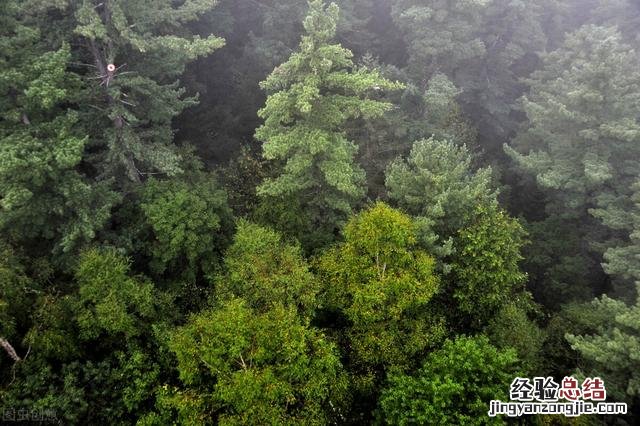 到这10个最佳旅游胜地 7月去哪里旅游合适