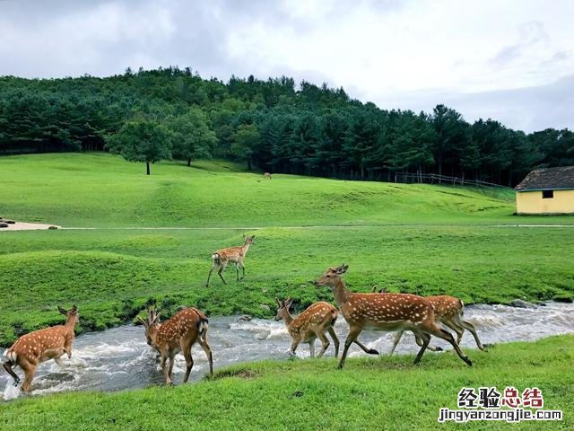 到这10个最佳旅游胜地 7月去哪里旅游合适